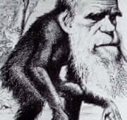 Darwin/monkey