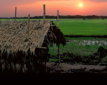 Cambodian Sunset