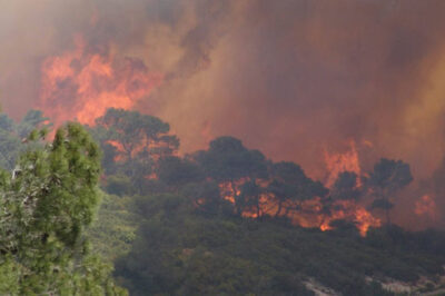 Ministries Partner to Respond to the Fires in Israel