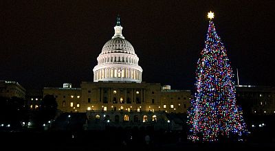 Capitol Christmas Tree