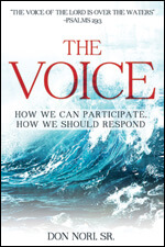 The Voice: How Can We Participate, How We Should Respond
