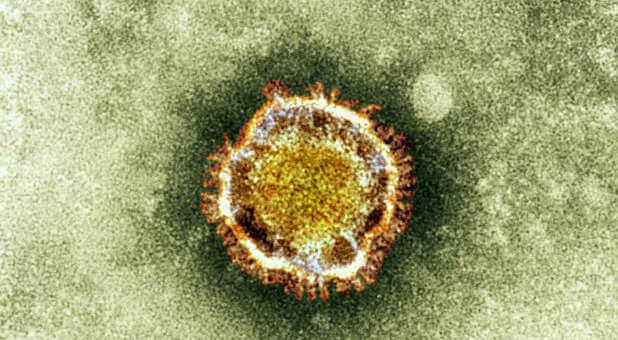 Coronavirus