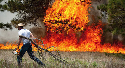 Black Forest fire in Colorado