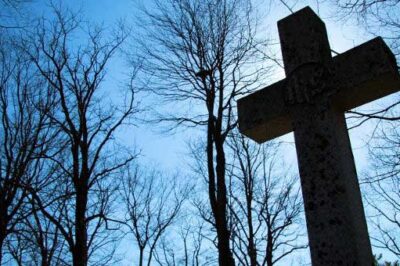 Why the Cross Is the Perfect Christmas Tree