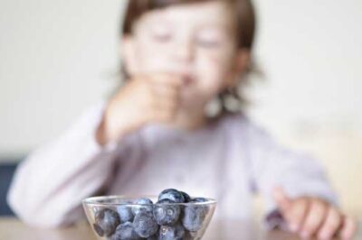 Boy and his blueberries