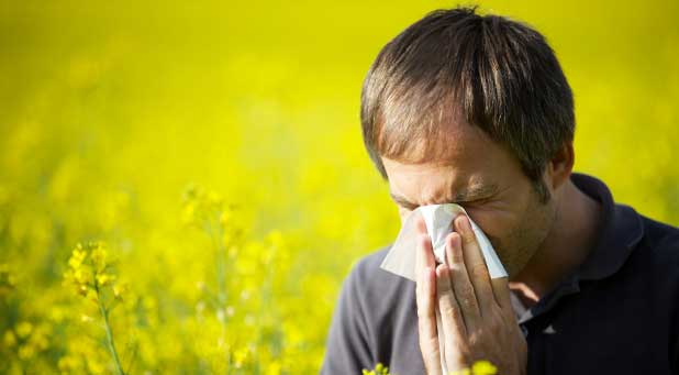 If you have hay fever, here are some suggestions to overcome it.