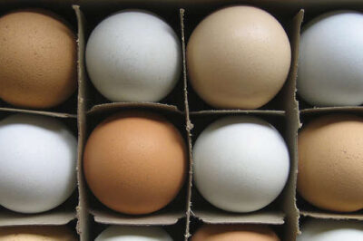 Once thought to be something you should avoid in your diet, studies now show that eggs are good for you.