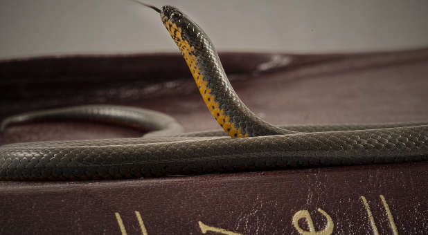 Demonic manifestations won't be uncommon in the days ahead.