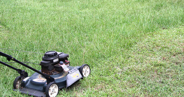 Mowing grass