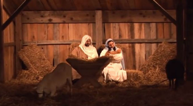 A living nativity