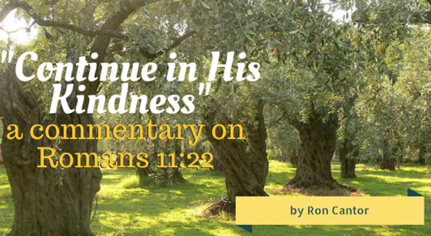 Does this have anything to do with Israel?