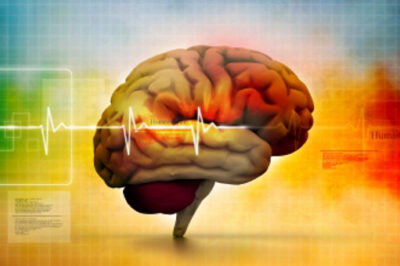 Fatty deposits on the brain could be causing Alzheimer's in many patients.