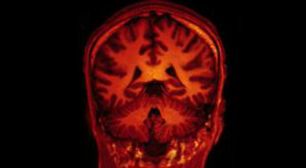 Your brain is hardwired to believe in God, researches say.