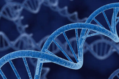 Understanding Your Prophetic DNA
