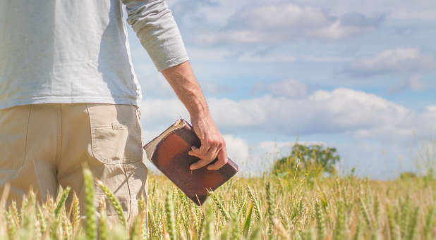 It's harvest time again.