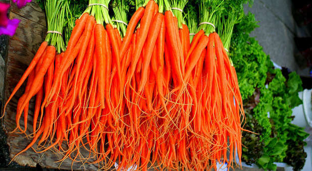 Fresh carrots