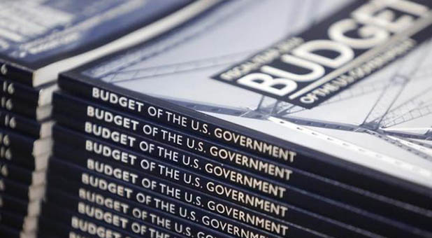 Budget of the U.S. Government