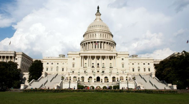 She collected their stories and is now set to release a new book titled,