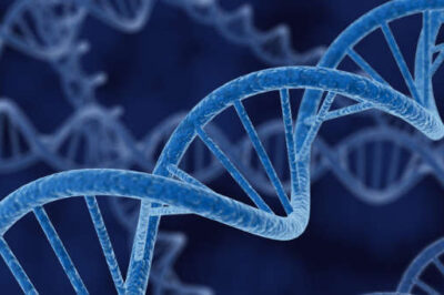 What Happens to Your DNA When Holy Spirit and Your Human Spirit Merge
