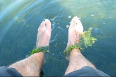 Take a break from all of your concerns just by dangling your feet in the water.
