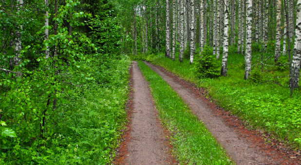 Here's the deal: God has a tremendous destiny for you and will do all He can to help you discover it for His glory.