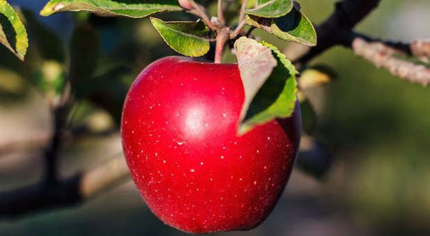 Make no mistake: Believers will be held accountable for their sin.