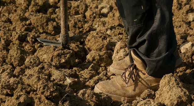 The Lord wants us to understand that the nature of the church and of the kingdom of God is organic.