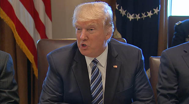 President Donald Trump