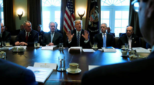 President Donald Trump and His Cabinet