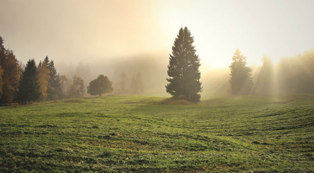 Faced with an impossible decision, Bühler and his family and friends turned to God. Below is his incredible testimony, which originally appeared in the ICEJ newsletter.