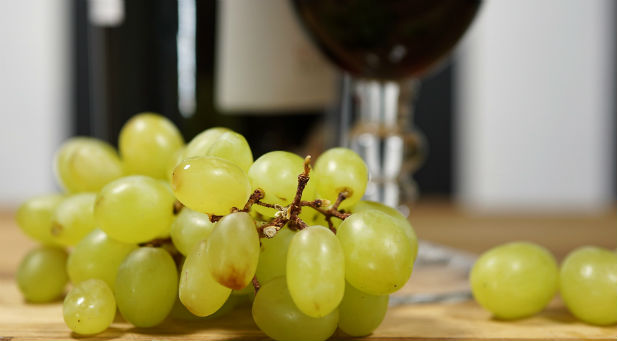 There are 226 verses in the Bible that talk about alcohol. More of them have to do with its bad effects than good. Why then do many Christians defend their right to drink?