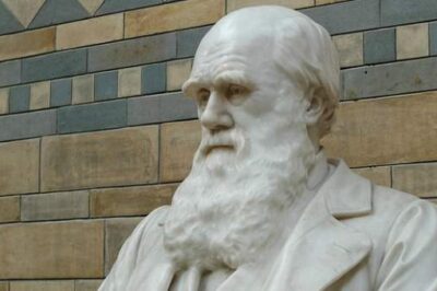 2 Honest Questions to Trounce Darwin’s Doctrine of Death
