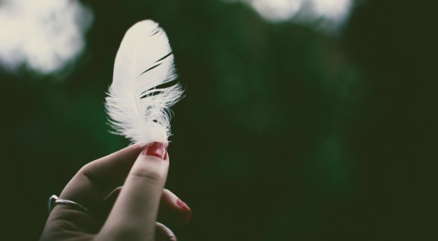 When feathers suddenly appeared floating across the platform at a large charismatic conference, the evangelist announced that it was