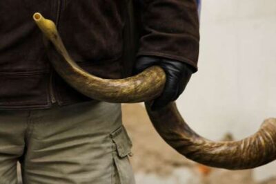 This Prophetic Shofar Blast Reveals What We Can Expect in the Month of Tishrei 5779