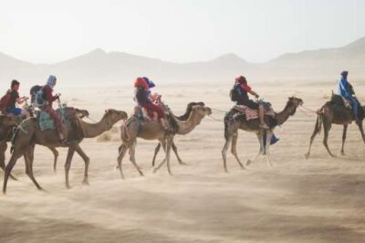 Do You See Camels on Horizon? Prophetic Significance of This Month of Sivan