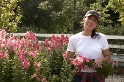Joanna Gaines Delivers Flowers to Workers on Front Lines Amid COVID-19