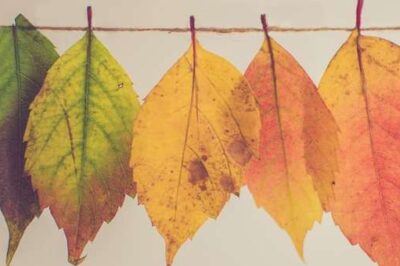 How Joseph’s Seasons of Change Can Teach You to Navigate Your Own