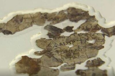 Israeli Experts Announce Discovery of More Dead Sea Scrolls
