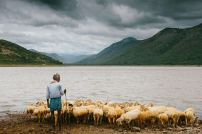 Prophecy: The Shepherd’s Rod Will Break You Out of Perilous Times