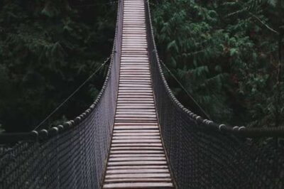 How to Bridge the Gap Between God’s Plan and Its Fulfillment