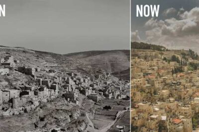 New Then-and-Now Photo Books Confirm Prophesied Restoration of Israel