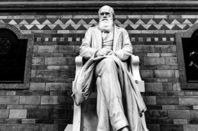 Worshipping at the Feet of Darwin