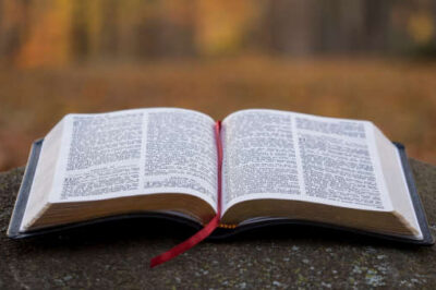 Updated Version of Bible Translation Stirs Accusations of ‘Gaywashing’ Within the Body of Christ