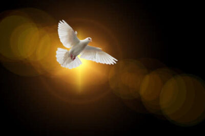 The Inseparable Bond Between Love and the Gifts of the Holy Spirit