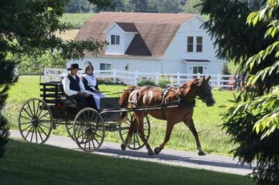 Amish and Mennonite Communities: God Has Remembered You