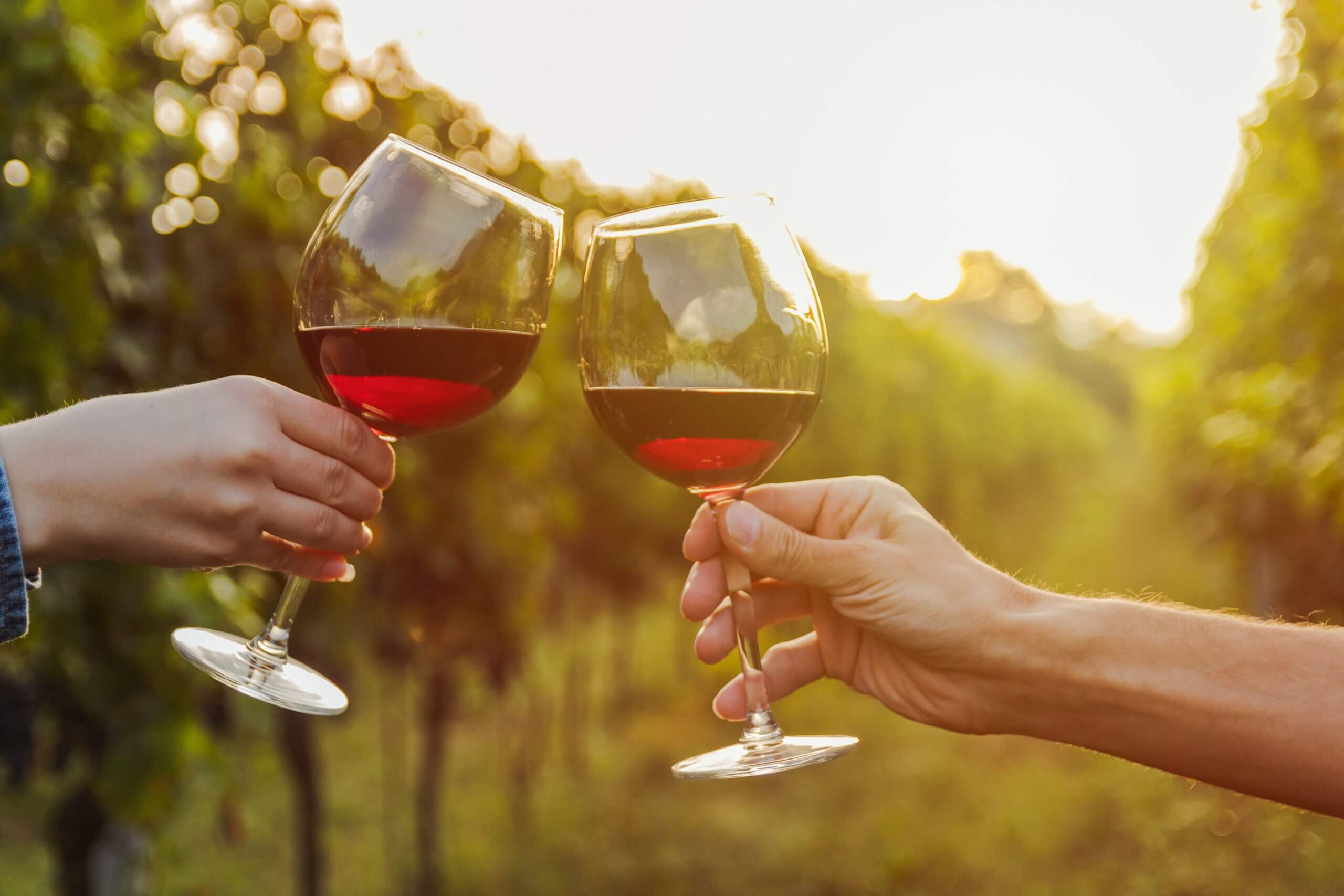Morning Rundown: 3 Reasons Why Wine Today is Not the Same As Wine in the Bible