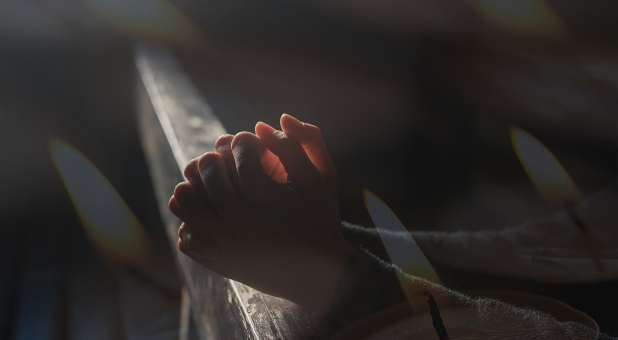 Holy Spirit as a dove with sunlight, tree in background