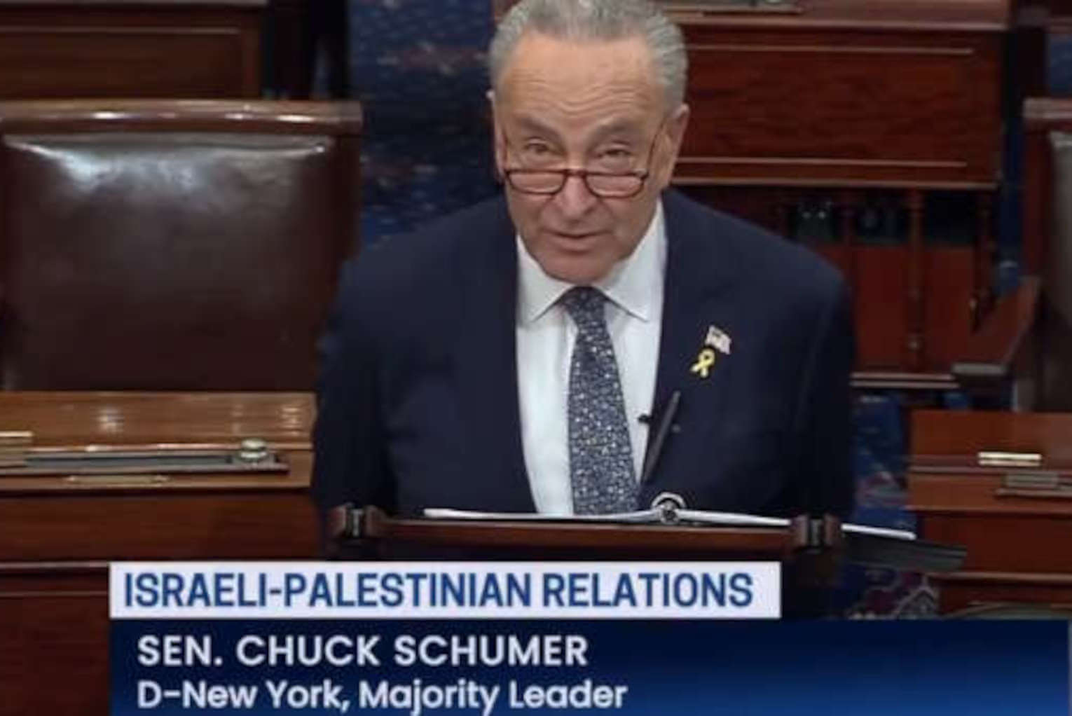 US Senate’s Schumer Sparks Furor for Call on Israel to Hold Elections, Replace Netanyahu