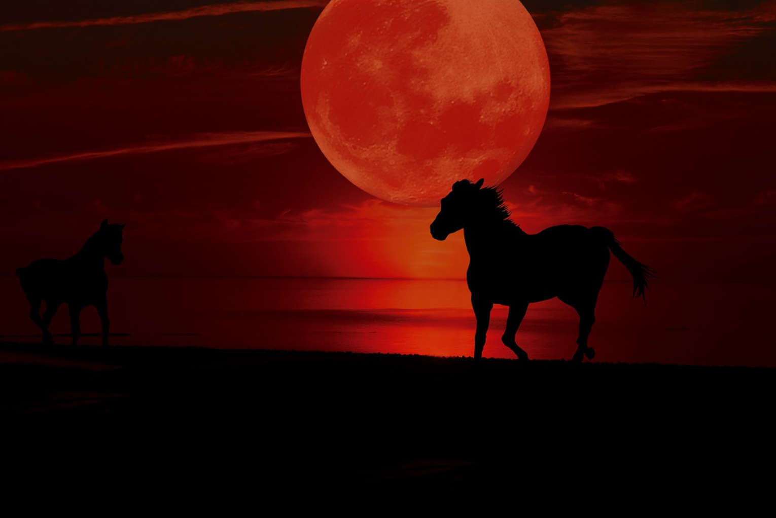 There Will Be ‘Blood Moon Purim Eclipses’ for 3 Years in a Row in 2024, 2025 and 2026
