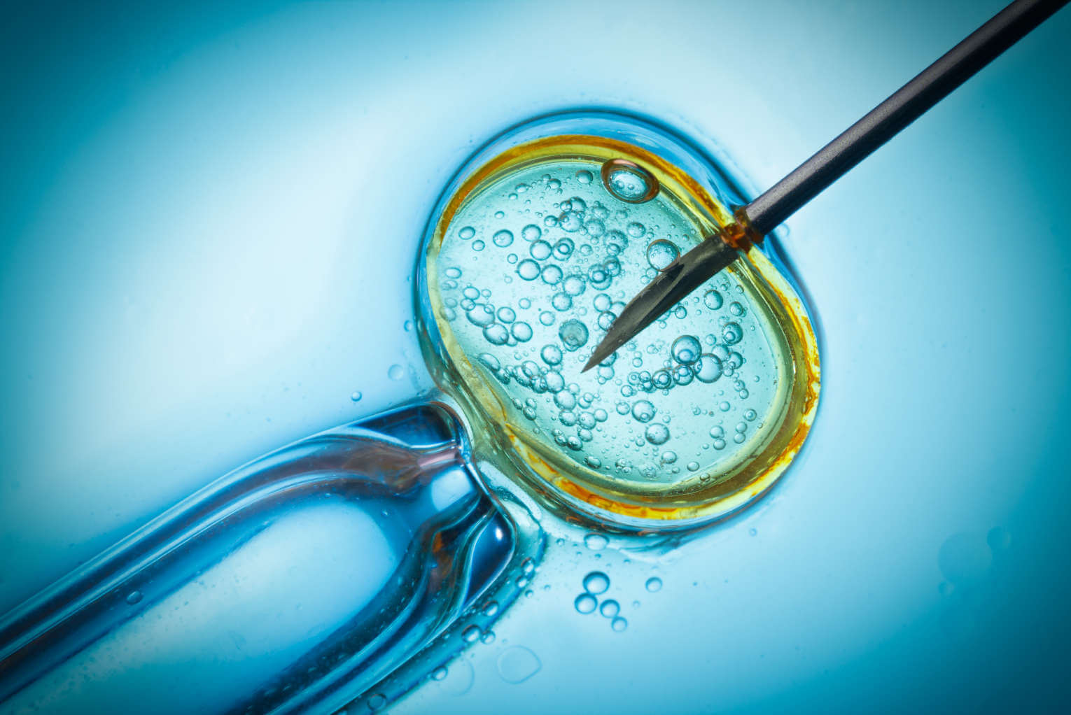 Southern Baptists Vote to Oppose IVF Procedures